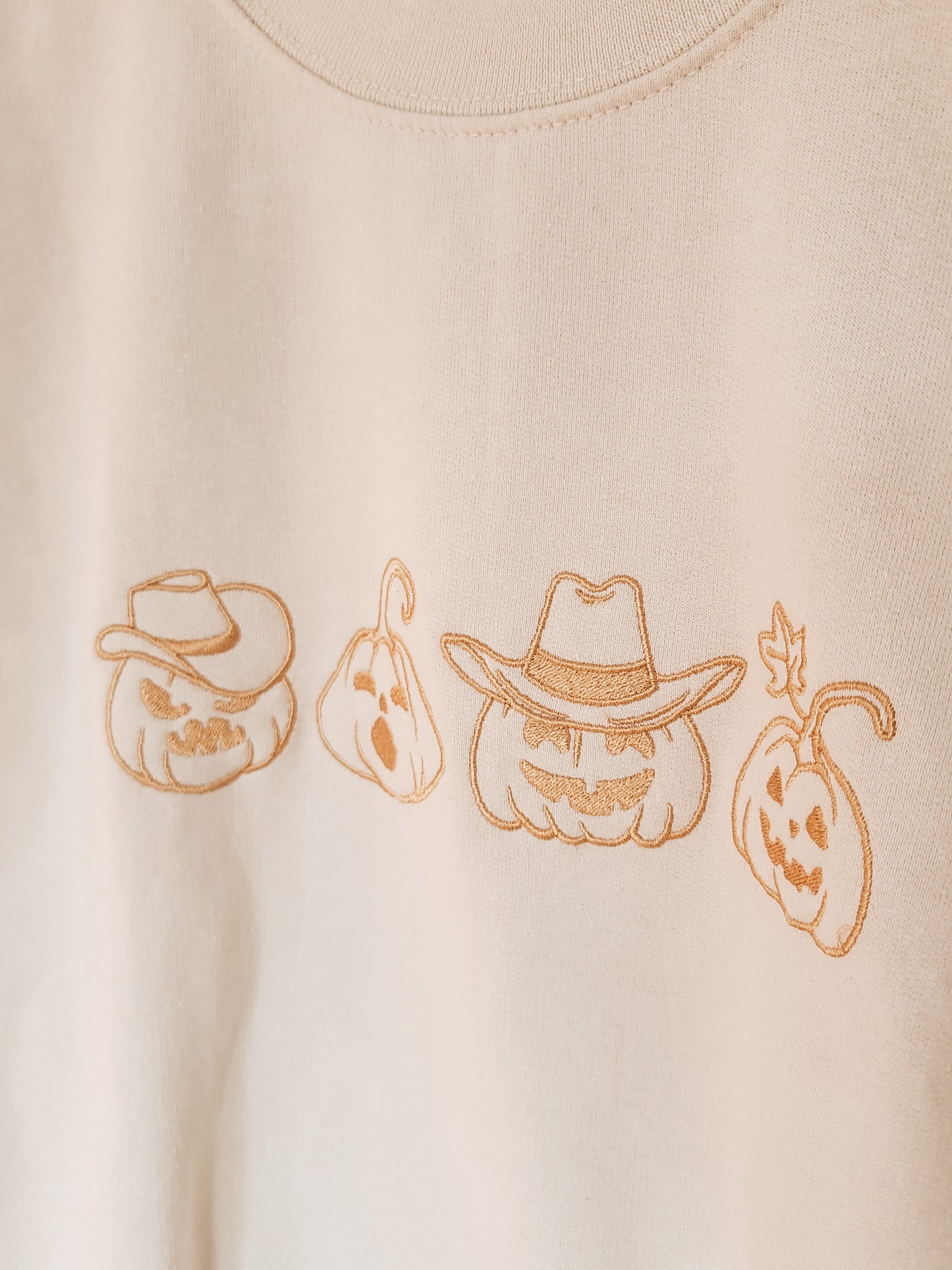 Embroidered Howdy Pumpkin Crewneck
